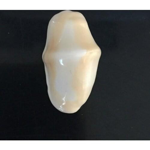 Rare Conch Shell Furnishing Marine Decoration Sea Conch Natural Ornaments Shell Wedding Festival Party Decoration Great Gift