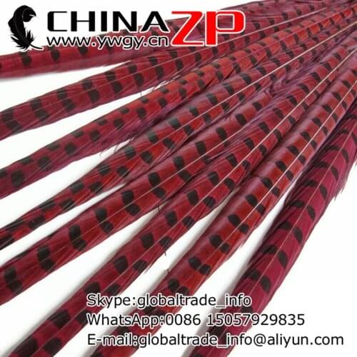 CHINAZP Factory 100pcs/lot Size 20-22inch (50-55cm) Good Quality Dyed Wine Red Ringneck Pheasant Tail Feathers