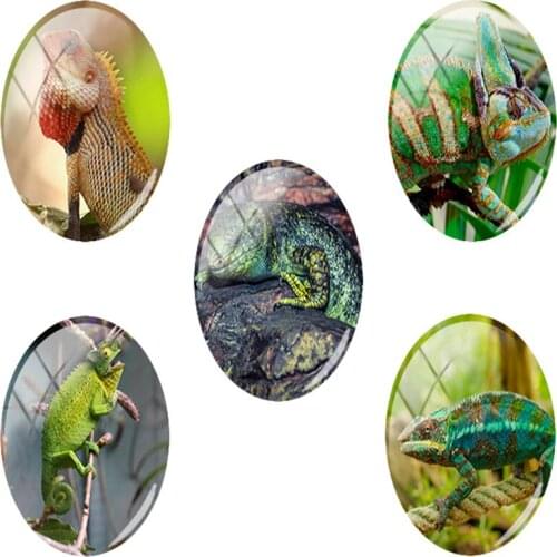 TAFREE Wild Animal Lizards Vintage Sign Patterns Beads Glass Dome 2020 New Arrive Jewelry Accessories 5pics/Lot Hot Sell HL174