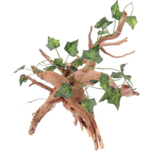 Rhododendron Wood Root with Small Jungle Vines DIY Decor for Reptiles and Amphibians Habitat Décor
