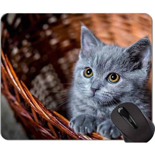 Gaming Mouse Pad Custom,Baby Animal Basket Gray Kitten Stare Animal Home Office Computer Accessories Mousepads