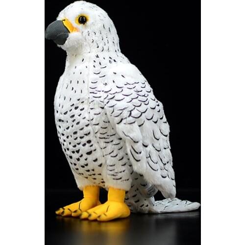 Cute Gyrfalcon Stuffed Plush Toy Falco Rusticolus Bird Simulation Soft Doll Adorable Jongkhurun Realistic Animal Child Kids Gift