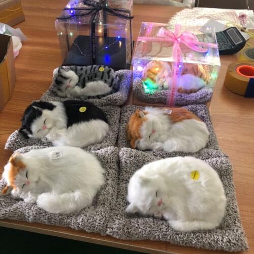 Enshengjia Electronic Soft Toys