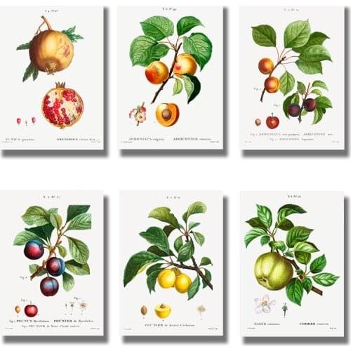 Nordic Kitchen Decor Canvas Painting Fruit Vegetables Pictures On The Wall Orange Art Posters for Home Design Frameless
