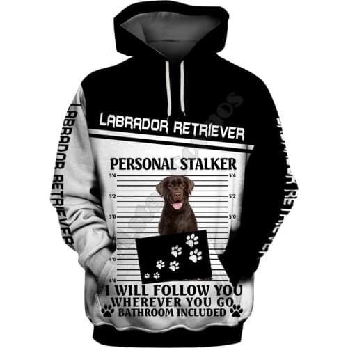Labrador Retriever 3D Printed Hoodies Funny Pullover Men For Women Funny Sweatshirts Animal Sweater Drop Shipping 02