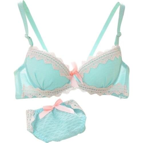 New Sexy Brassiere Lady Push Up Bra Set Lace Embroidery Bralette Underwear Panty Set Intimates Women Bra Panties Set