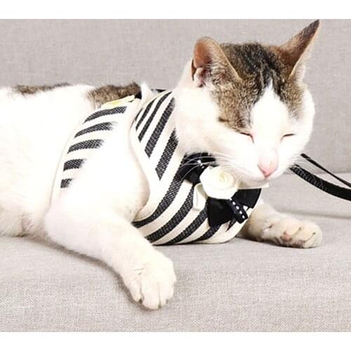 Cat Collar Cats Leash Cat Accessories Dog Collars Tag Szelki Dla Psa ошейник для кошек Arnes Perro Pequeño Поводок Для собак