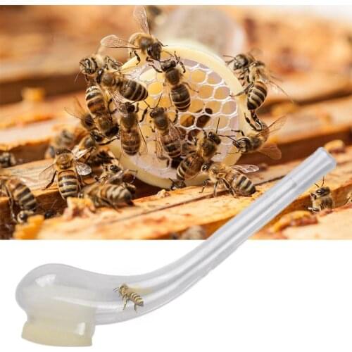 1Pc Bee Pipe Beekeeping Queen King Catch Cage Apiculture Equipment Protection Beekeeping Equipment Great For beekeeping