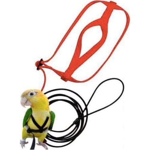 Anti-bite Flying Training Rope Parrot Bird Leash Kits Ultralight Harness Leash