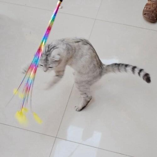 Pet Cat Toys with Feather Cat Teaser Interactive Toy Pet Cats Stick Wire Wand Toy Cats Scratching Training Pet Supplies