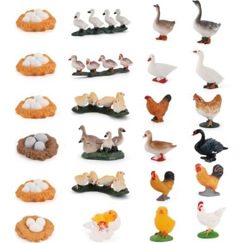 Simulation Poultry Grow Cycle Model the Life Cycle of Chicken,Duck,Rooster,Goose Models Action Figures Animals Educational Toys