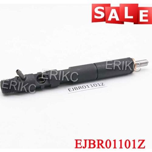 EJBR01101Z Fuel Injection Type Diesel Oil Injectors R01101Z Auto Equipmemt Injector Manufacturers 1101Z 01101Z For Delphi Nozzle