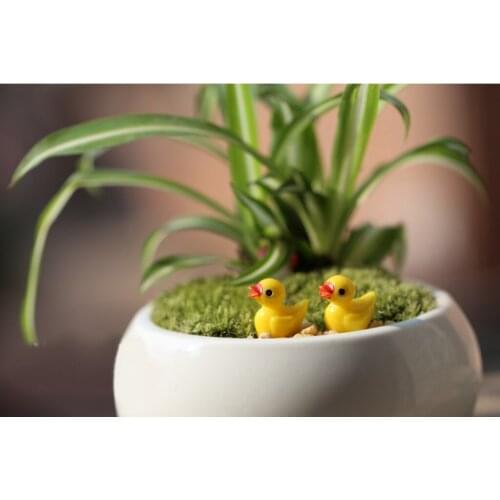 Resin Miniature Moss 80Pcs Ducks Fairy Micro Landscape Garden Decor Craft