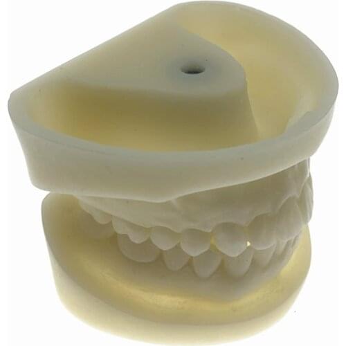 Preparation dental cast mold resin dentistry teaching model dental practice dental teeth model