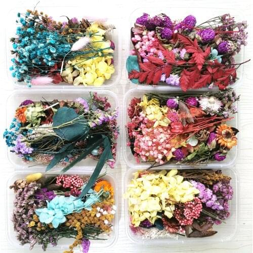 1 Box Natural Dried Flower Dry Plants For DIY Epoxy Resin Charm Pendant Aromatherapy Candle Jewelry Making Craft Accessories