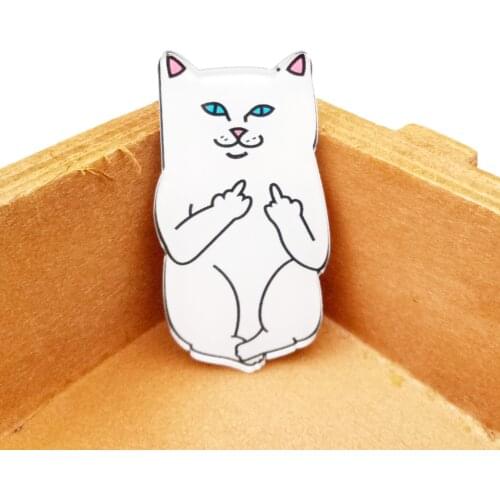 Cat Cartoon Badge Funny Animal Icon Acrylic Brooch Decoration On Clothes Backpack For Kids DIY Accessories