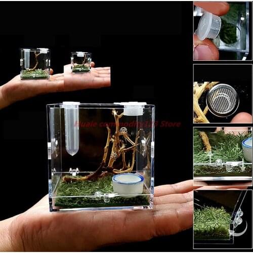 YOWEI Terrariums