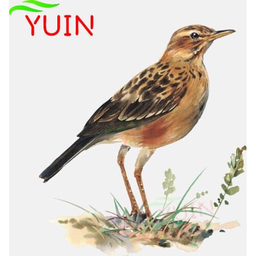 Cute Bird Standing In The Grass Car Sticker Fashion Decoration Accessories Personalized PVC Motorcycle Waterproof Decal 14*13cm