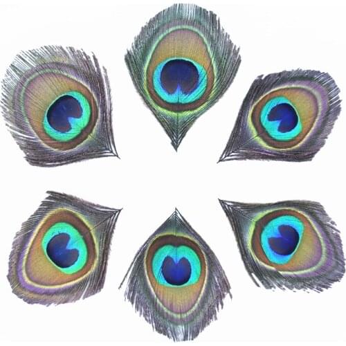 10Pcs Natural Rare Peacock Feathers Eye Feathers for Crafts Needlework Decoration Pheasant Feather Decor Carnival Accessories