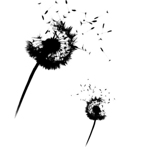 10x8 Dandelion Transparent Clear Stamps Silicone Seals for DIY scrapbooking photo album Card Making