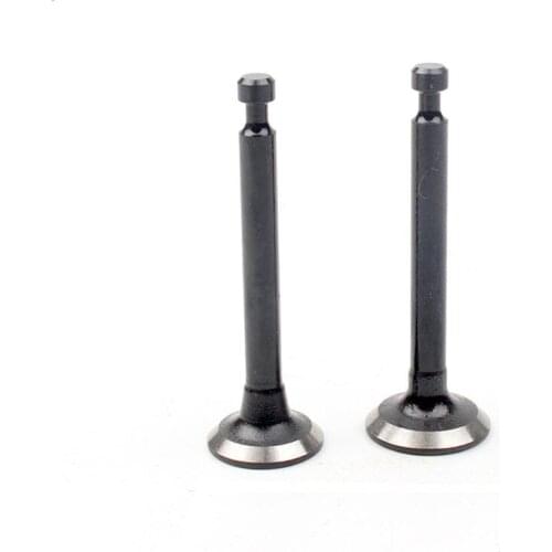 1 pair Intake And Exhaust Valve For 139F-2 ROBIN EH035 Engine Brush Cutter.Grass Trimmer. Garden Tools Spare Parts