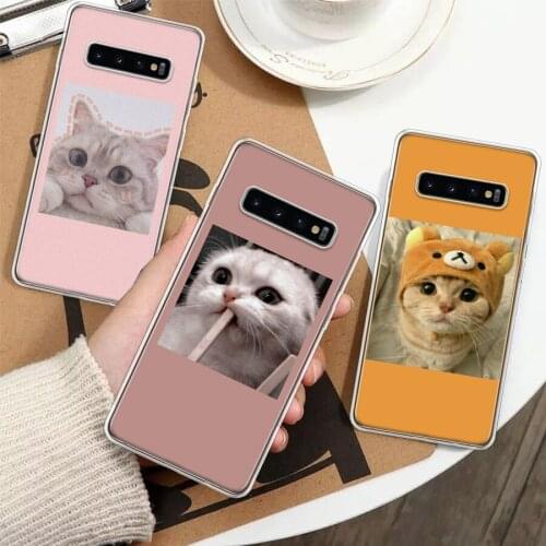 Super Lovely Cat Kitten Cute Funny Silicon Phone Case For Samsung Galaxy A51 A71 A70 A50 A40 A30 A20E A10S A01 A21 A6 A7 A8 A9 P