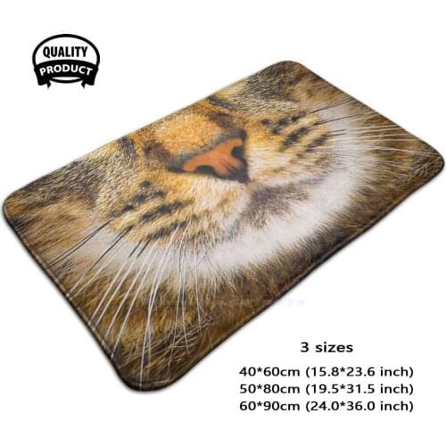 Cat Face 3D Household Goods Mat Rug Carpet Foot Pad 19 Cat Kitten Kitty Funny Comedy Amusing Humorous Comical Silly Wacky Joke