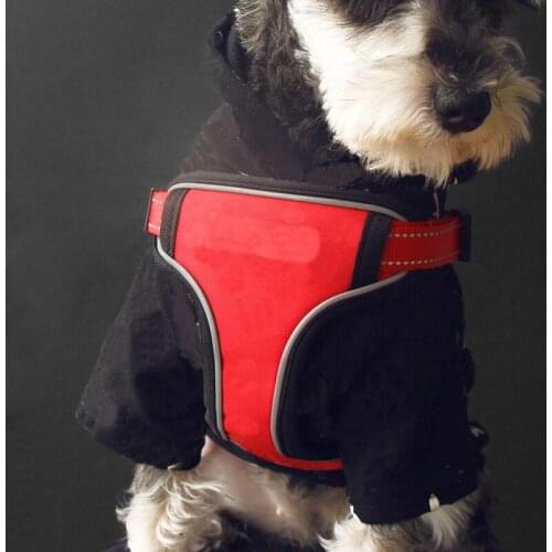 Fashion Letter Dog Harness Leash Set Dog Vest Harnesses Red Black Walking Out Leading Rope Maltese Arnes Pets Supplies