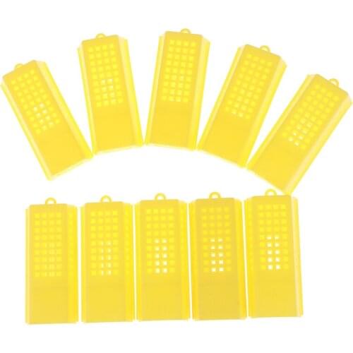 10 Pcs/lot Professional Queen Bee Cage Catcher Plastic Beekeeping Travelling Butler 7.9cm x 3.6cm x 1.4cm