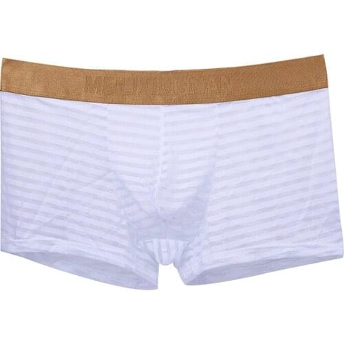 Men Striped Boxer Mesh Transparent Underwear Summer Panties Ice Silk Soft Underpants Mid Waist Shorts Ultra-thin Soft Breathable