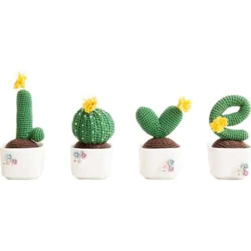 Cup LOVE Succulent Potted Plant Series Crochet DIY Package Knitting Kit for Beginners