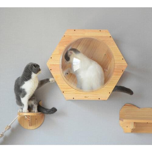 DETTRU Scratching Posts Houses For Cats