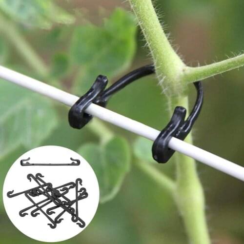 Black Color 100Pcs Practical Grape Stem Grafting Clips PP Vine Support Clips Professional for Plant