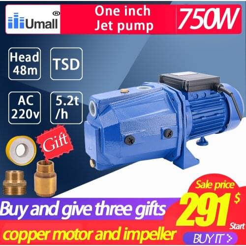 JET100 Booster electric motor Pump 1hp jet high Pressure leo shimge big flow iron cast copper coil Clean water Pump 220v