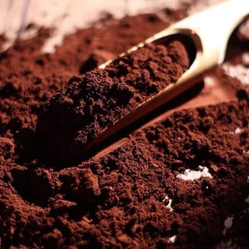 Mushroom Spore Powder Wall-Broken Pure Ganoderma Lucidum Non-GMO