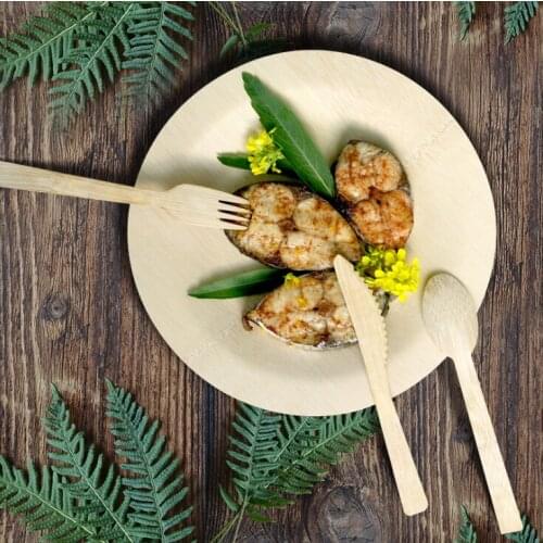 Lvde Disposable Tableware For Holidays