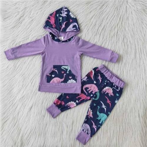 Wholesale Boutique Kids Hoodie Purple Dinosaur Sweater Sets Clothing Baby Toddler Girls Boy Outfit Children Long sleeve Pants