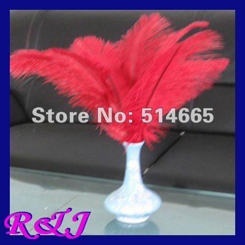 Free shipping Cheap ostrich feather 100pcs 10-12 inches 25-30cm red Ostrich plumage ostrich plume