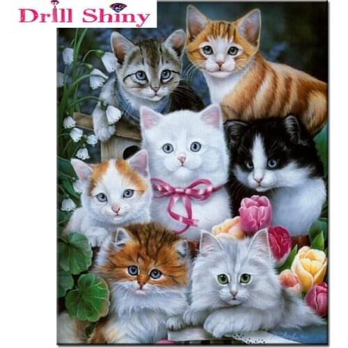 Diy 5d diamond painting cats animal full square Diamond Mosaic Pictures cross stitch patterns embroidery Hand Made childs gift