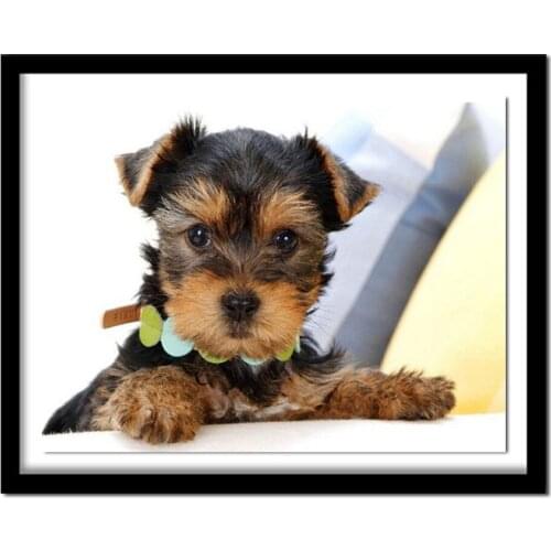 Animal Diamond Embroidery Yorkshire Terrier 5d diy Diamond Painting dog Cross Stitch Diamond ,mazayka,diamond pattern,gift