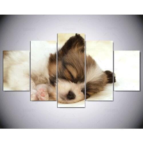 5 panel Modern cute puppy hd Art print canvas art wall framed paintings for living room wall picture kn-01
