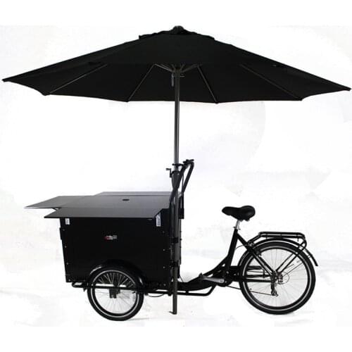 KN-T04E pedal and electric version fruit and fast food bike vending Tricycle cart for sale