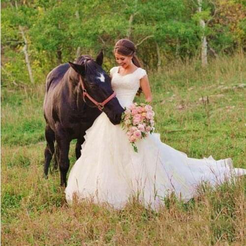 Shwaepepty Rustic Country A-Line Wedding Dresses Court Train Spring Summer Long Puffy Bridal Gowns Plus Size Bride Dress