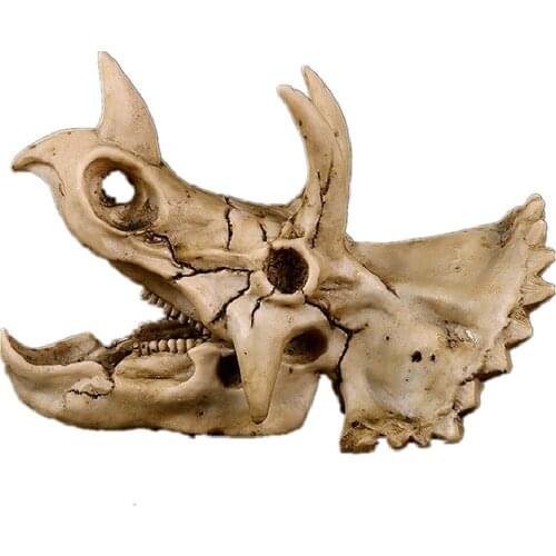 Resin Triangle dragon dinosaur skeleton sketch practice classroom teaching accessories Animal skull model