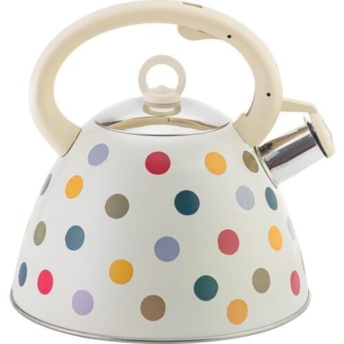 European new wave point whistle kettle household kitchen utensils sound kettle creative large capacity sound kettle