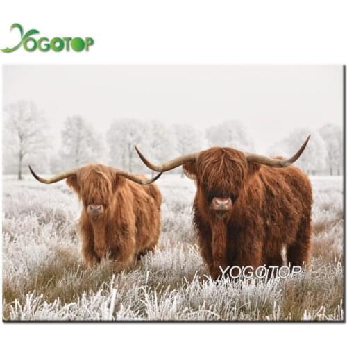 5D DIY Diamond Painting Highland Cow Full Rhinestone Drill Embroidery Mosaic cattle black white art Home Decoration YY2033