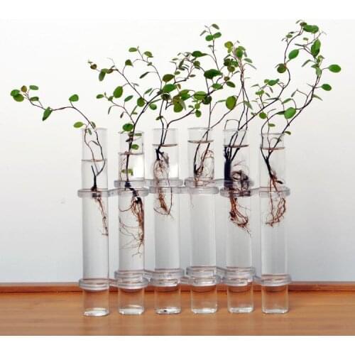 6 Glass Tubes Shape Hanging Hydroponic Flower Plant Vase Terrarium Container