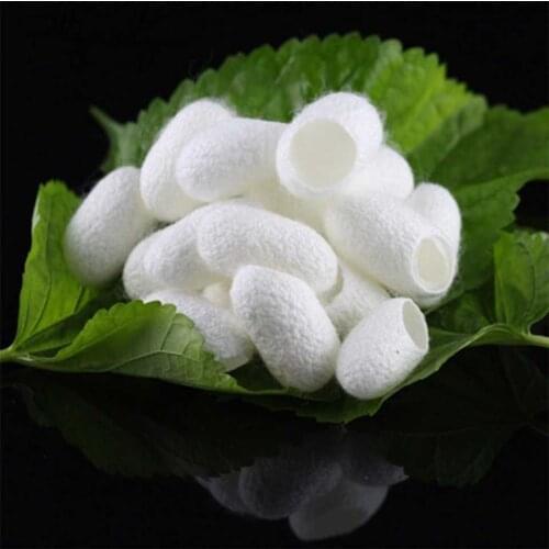 Silkworm Cocoons Ball for Facials Clean 10 pcs Purifying Whitening Exfoliating Scrub Blackhead Remover Natural Silk Cocoons