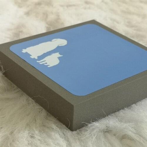 Static Electricity Animal Cat Dog Brush Foam Sponge Pet Hair Fur Remover Cleaner Household Car Seats Beds Mats Cleaning Tools