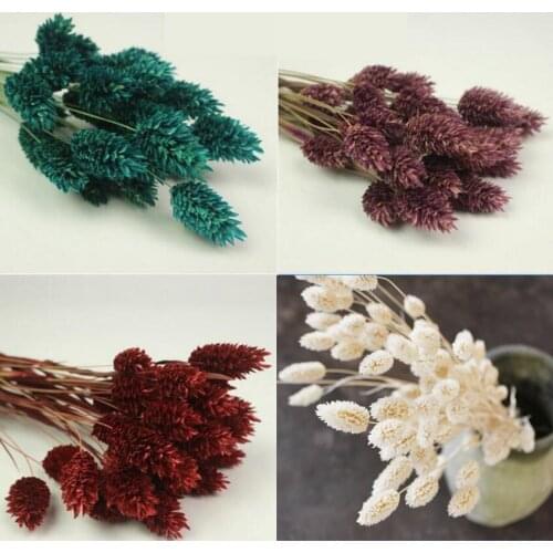 20pcs 40cm Length Preserved Lavandula Species Flowers For Craft Gift Material Accessory Decoration Flower Arranging DIY